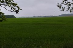 IMG_20220508_125353