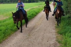 IMG_20220508_125433
