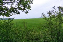 IMG_20220508_125438