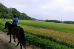 IMG_20220508_125510