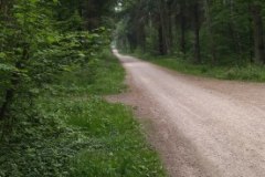 IMG_20220508_130242