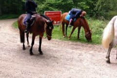 IMG_20220508_130328