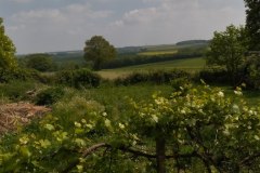 IMG_20220508_150131