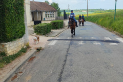 IMG_20220508_151026