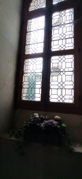 IMG_20220527_145106