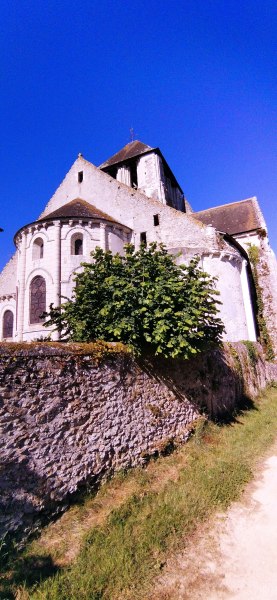 IMG_20220529_094624