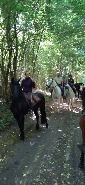IMG_20220529_103913