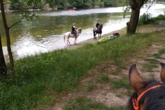 IMG_20220527_112403