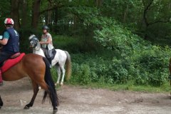IMG_20220527_112411