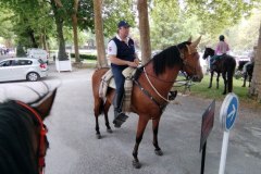 IMG_20220527_121247