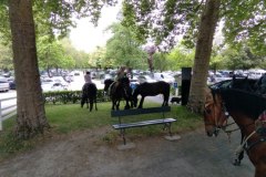 IMG_20220527_121400