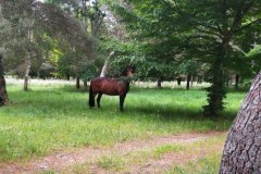 IMG_20220527_134740