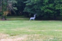 IMG_20220527_153254