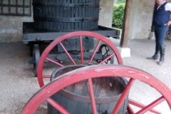 IMG_20220527_153650