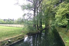 IMG_20220527_154638