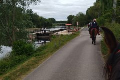 IMG_20220527_164259