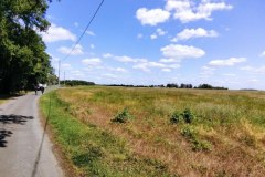 IMG_20220529_121623