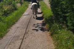 IMG_20220612_121534