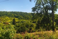 IMG_20220612_121545