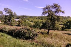 IMG_20220612_121722