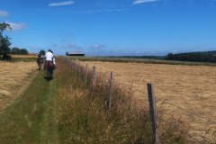IMG_20220612_122127