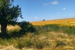 IMG_20220612_122149