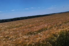 IMG_20220612_122503