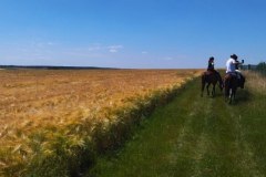 IMG_20220612_122512