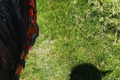 IMG_20220612_122943