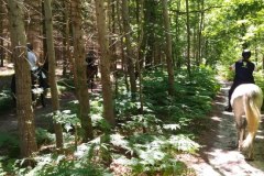 IMG_20220612_132152