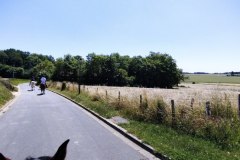 IMG_20220612_134259