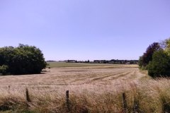 IMG_20220612_134304