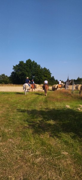 IMG_20220618_184631