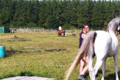 IMG_20220618_174909