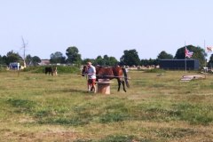 IMG_20220618_175725
