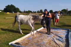 IMG_20220618_183317