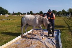 IMG_20220618_183350