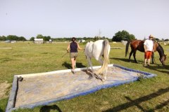 IMG_20220618_183501