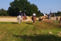 IMG_20220618_184631