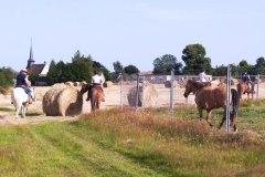 IMG_20220618_184640