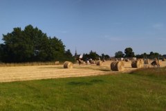 IMG_20220618_184703
