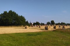 IMG_20220618_184705