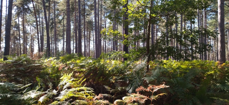 IMG_20220925_123739