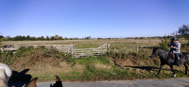 IMG_20221009_112027