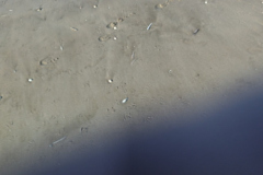 IMG_20221008_160555