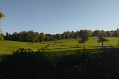 IMG_20221008_180350
