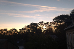 IMG_20221009_080531