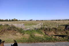 IMG_20221009_112027