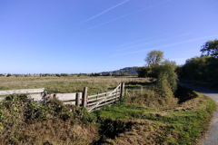 IMG_20221009_112036