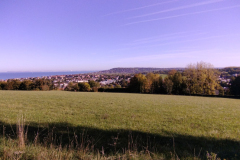 IMG_20221009_114856